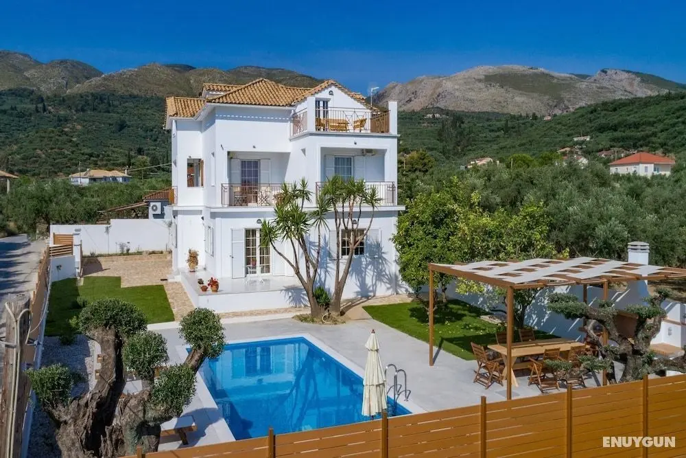Villa Status - Öne Çıkan Resim