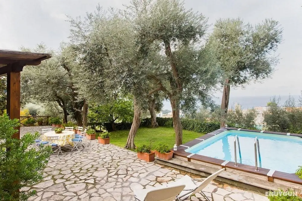Villa Stella With Private Swimming Pool Sea View Terraces and Parking - Oda