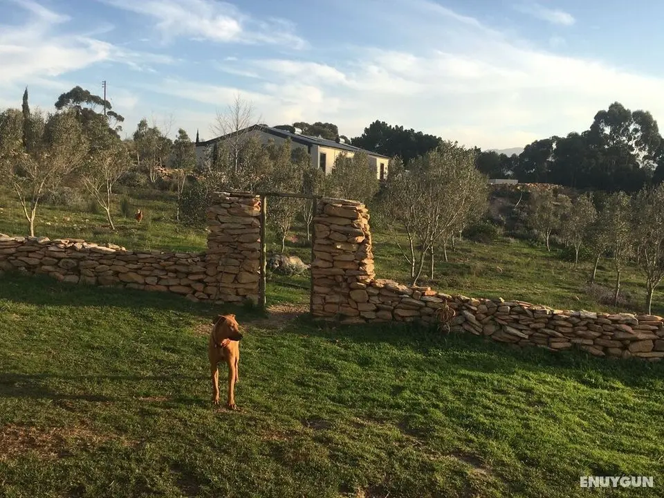 Stellar Overberg Travellers Lodge - Öne Çıkan Resim