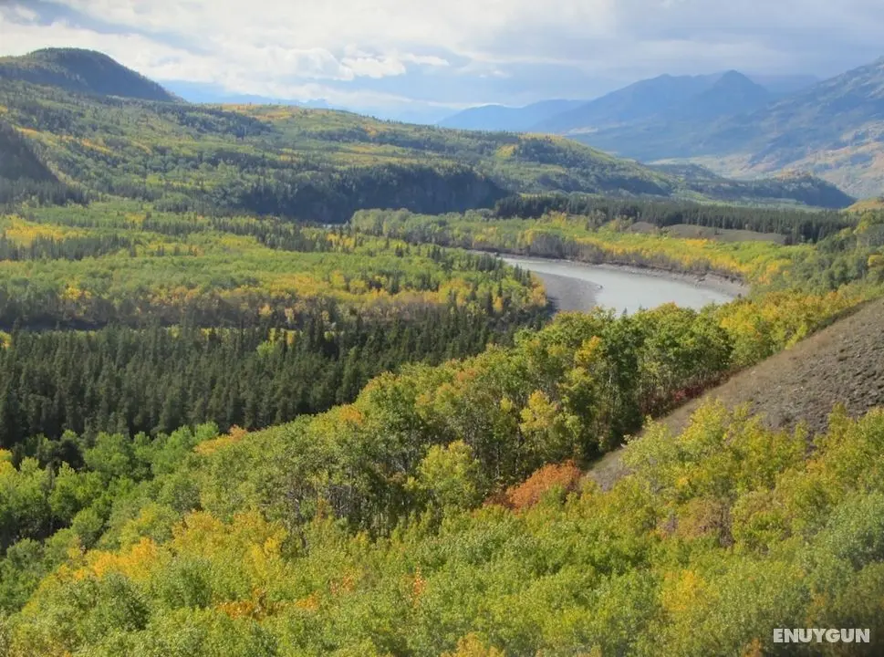 Stikine View Lodge - Dış Mekan
