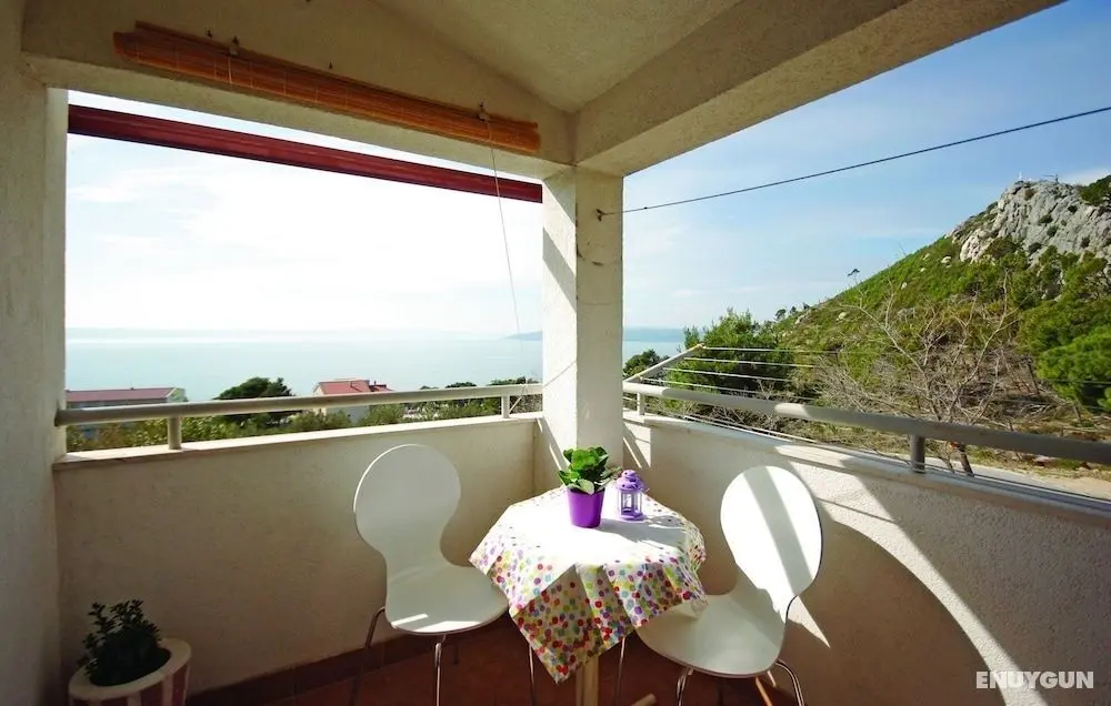 Stipe - sea View From the Terrace - A1 - Öne Çıkan Resim