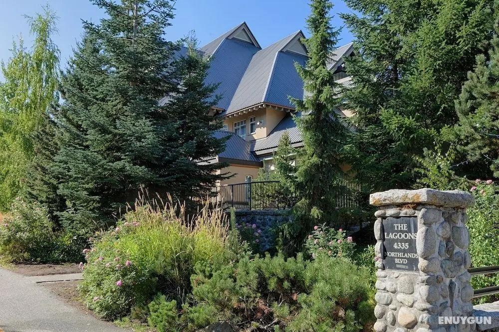 Stoney Creek Lagoon - Whistler Premier - Öne Çıkan Resim