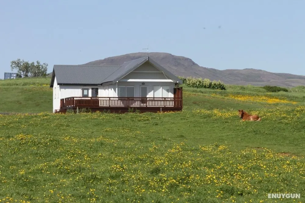 Stryta Guesthouse - Öne Çıkan Resim