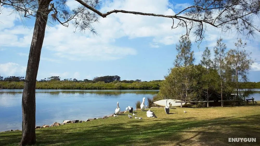 Stuarts Point Holiday Park - Öne Çıkan Resim