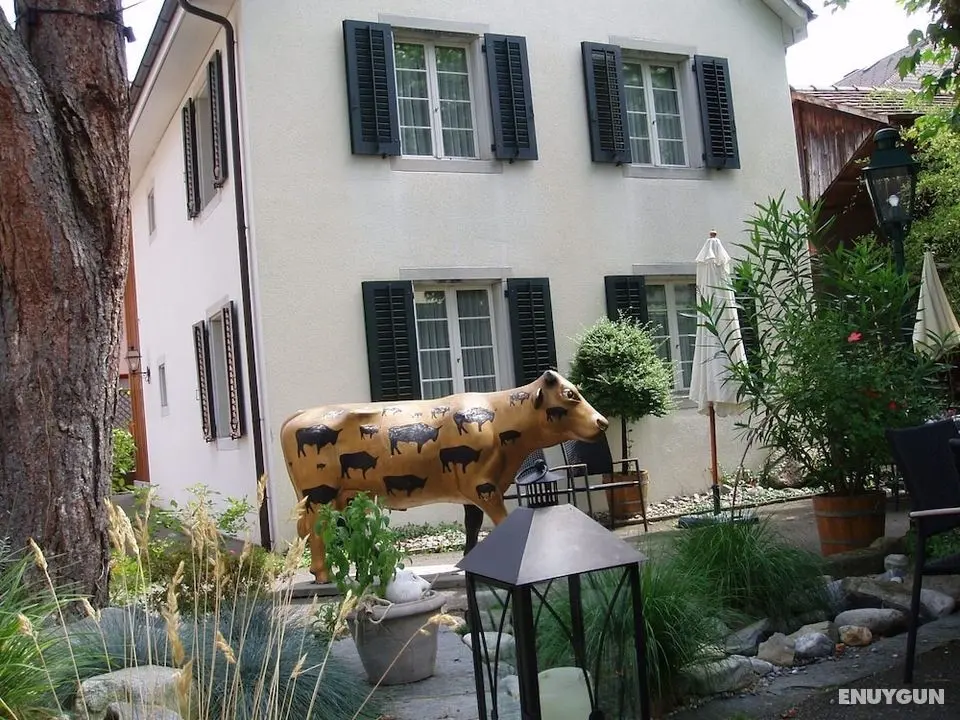 Studio-Apartments by Ochsen Lenzburg - Öne Çıkan Resim