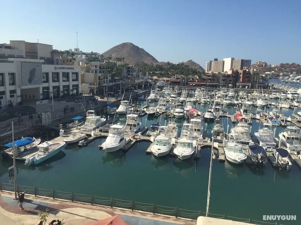 Studio Suite at Marina Cabo Plaza - Öne Çıkan Resim