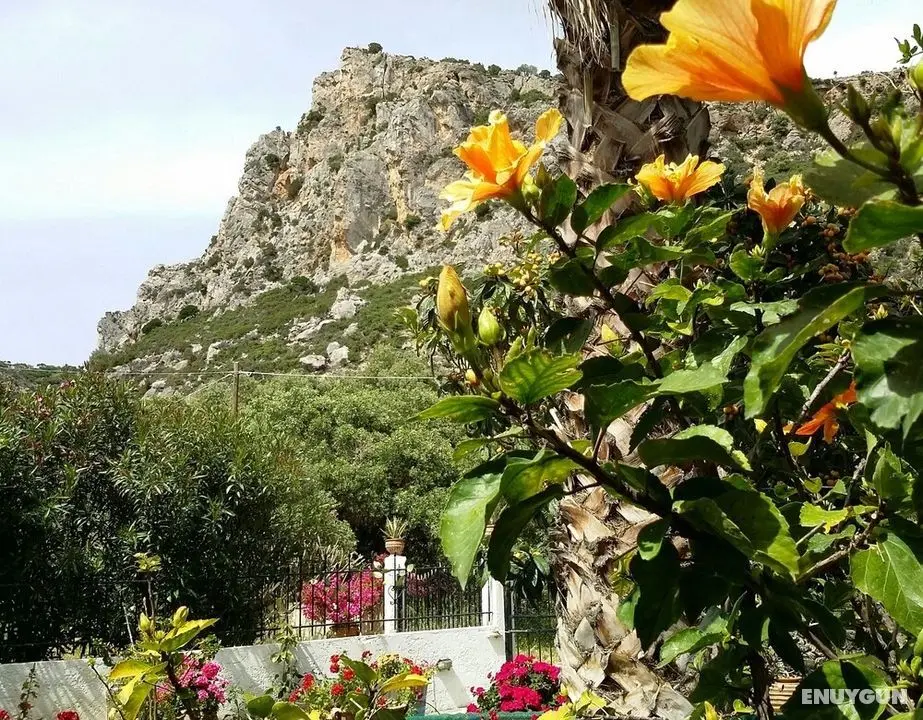 Stunning 2-bedrooms Private Cottage in Palaiochora - Dış Mekan