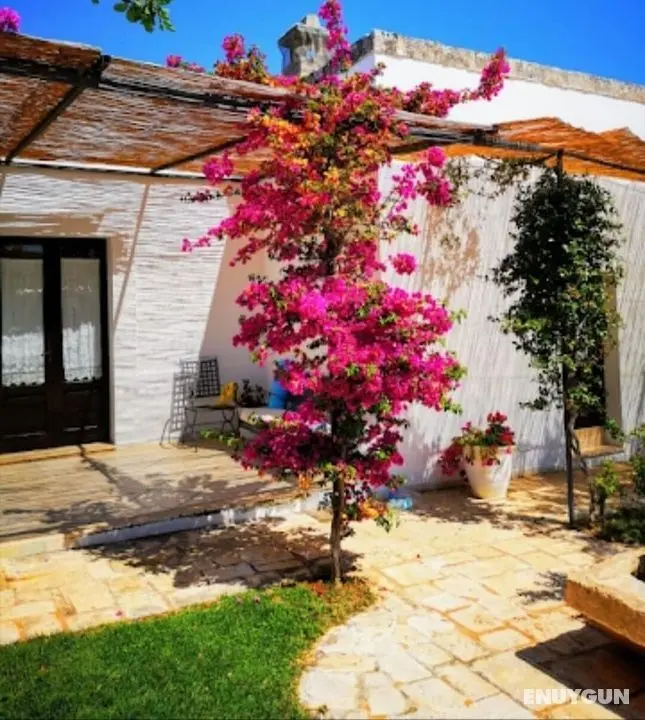 Stunning Quadruple Room in Ancient Masseria Near the sea in a Quiet Olive Trees - Öne Çıkan Resim