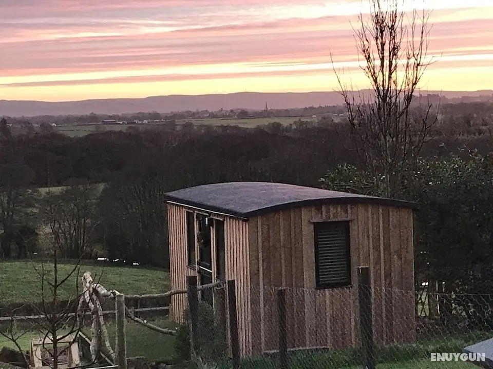 Stunning Shepherds Hut Rural Bliss Dumfries - Öne Çıkan Resim