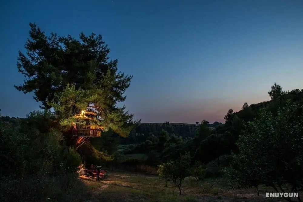 Stunning Treehouse 10 Mins From Sandy Beaches - Dış Mekan