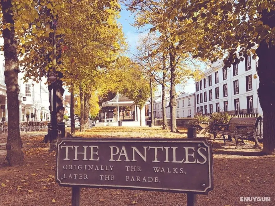 Stylish 1-bed Apartment - Heart of Tunbridge Wells - Dış Mekan