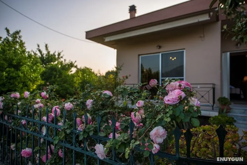 Stylish Seaside Home - Fully Equipped - Öne Çıkan Resim
