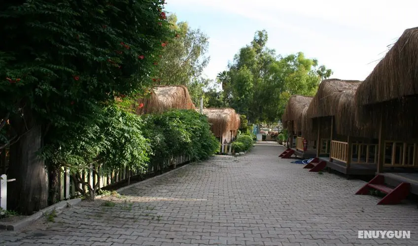 Sugar Beach Club - Dış Mekan