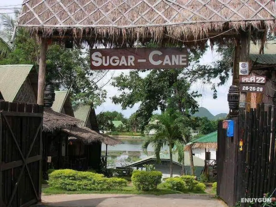 Sugar Cane Guest House 1 - Öne Çıkan Resim