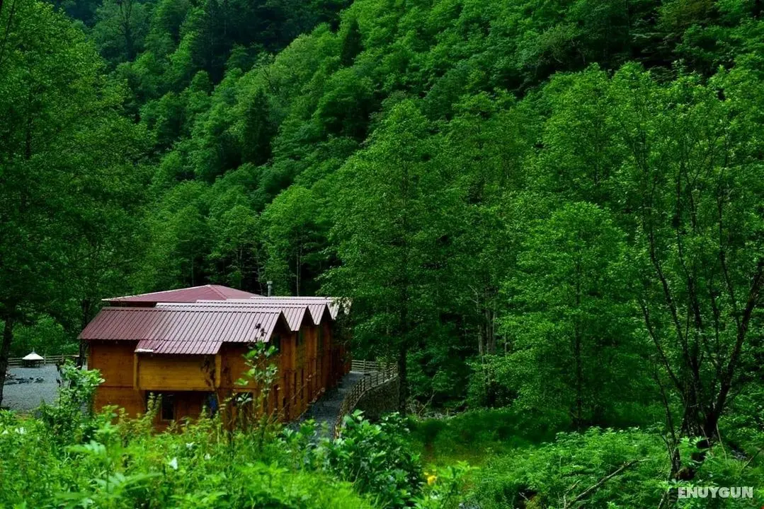 Sumda Konaklar - Manzara / Peyzaj
