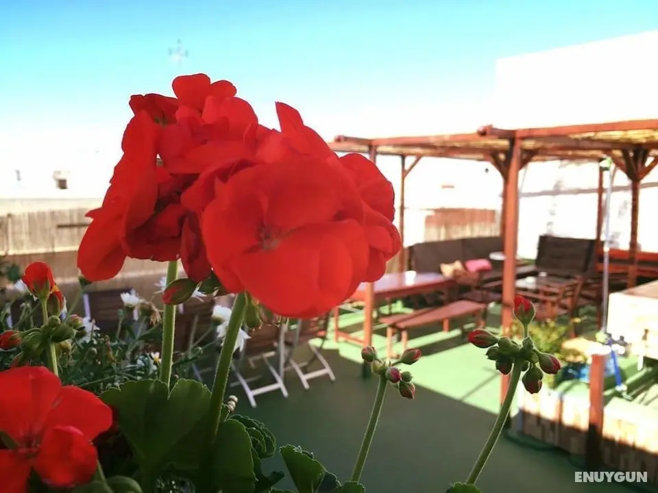 Summer Hostel Cádiz - Öne Çıkan Resim