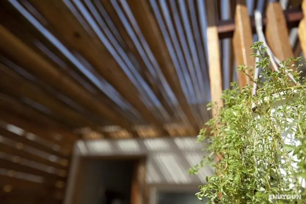 SUMU Homestay - İç Mekan