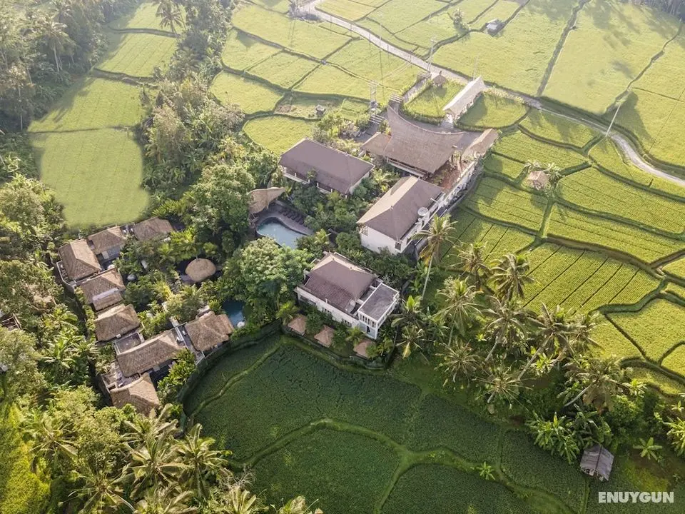 The Sun of Granary Resort and Villas - Öne Çıkan Resim