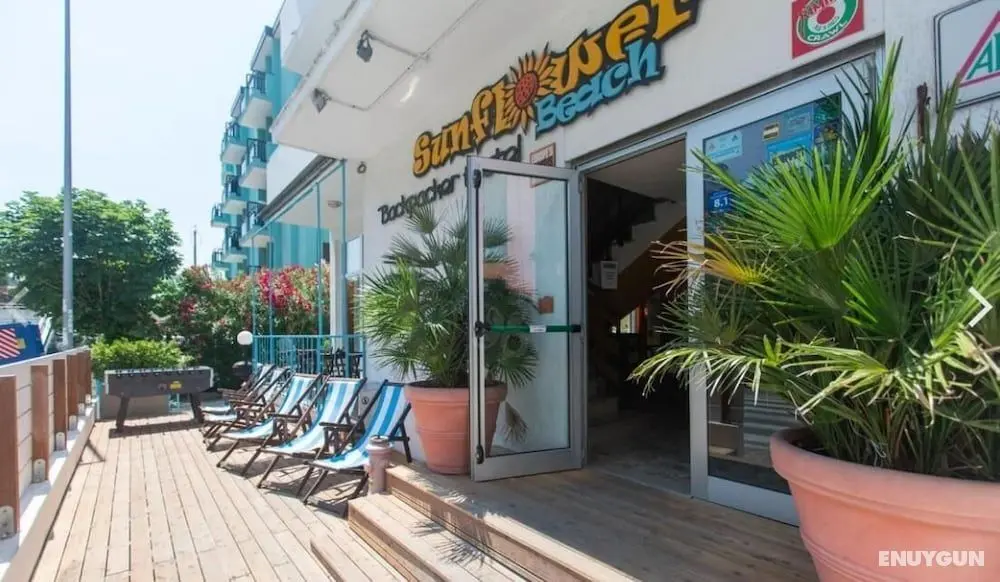 Sunflower Beach Backpacker Hostel - Dış Mekan