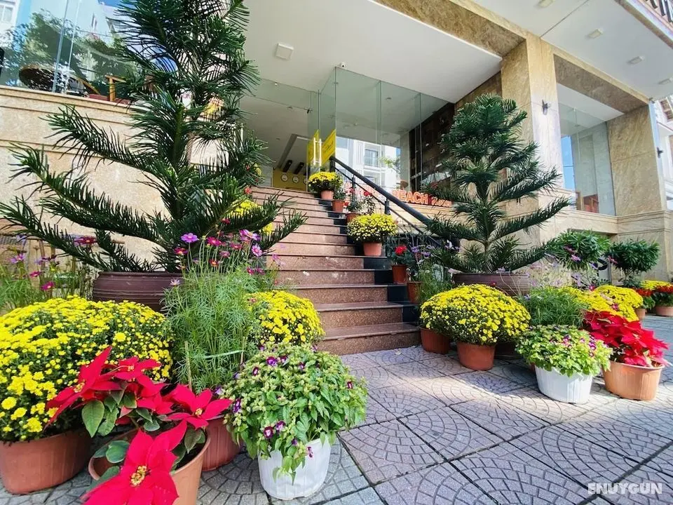 Sunny Beach Hotel & Apartment - Öne Çıkan Resim