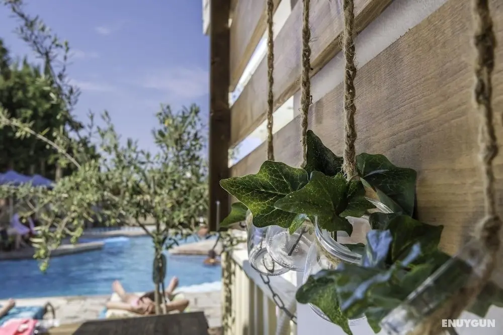 Sunny day's Hotel Apartments - Öne Çıkan Resim