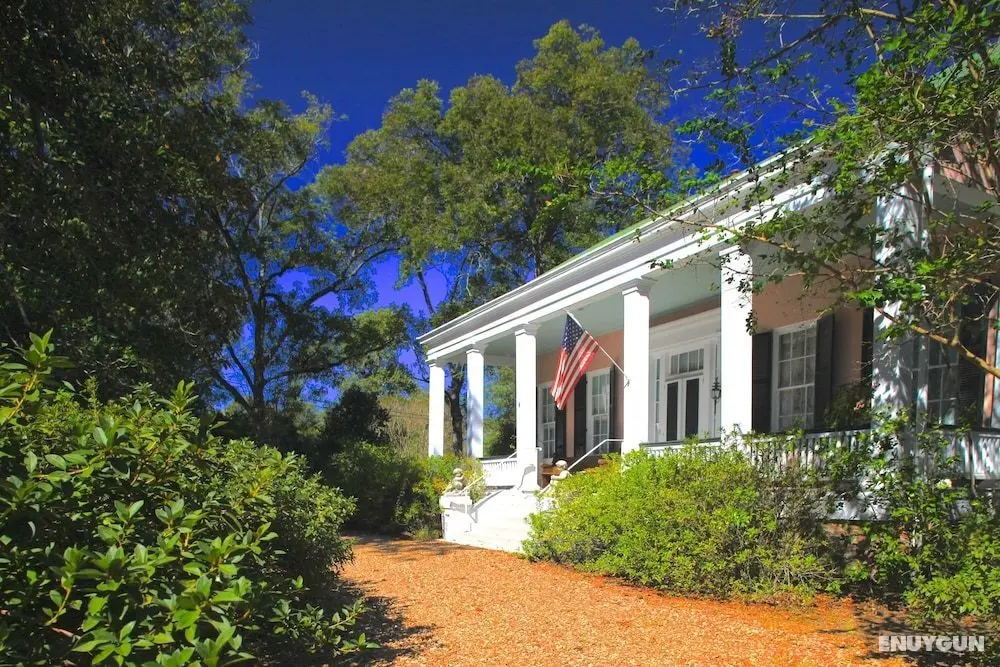 Sunnyside Bed & Breakfast - Öne Çıkan Resim
