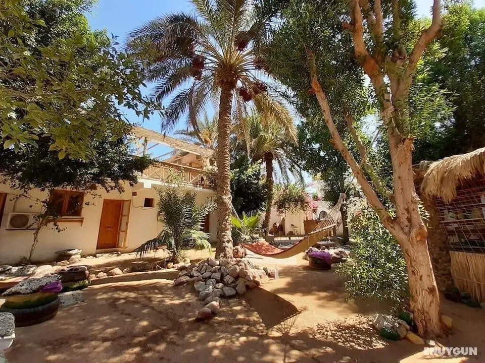 Sunrise Dahab Camp - Dış Mekan
