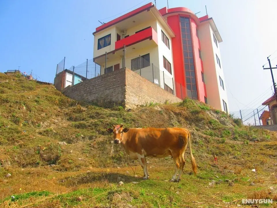 Sunrise Homestay Nepal - Dış Mekan