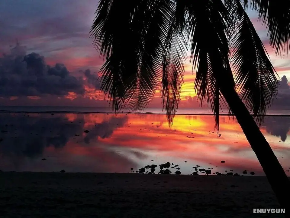 Sunset Palms Rarotonga - Plaj