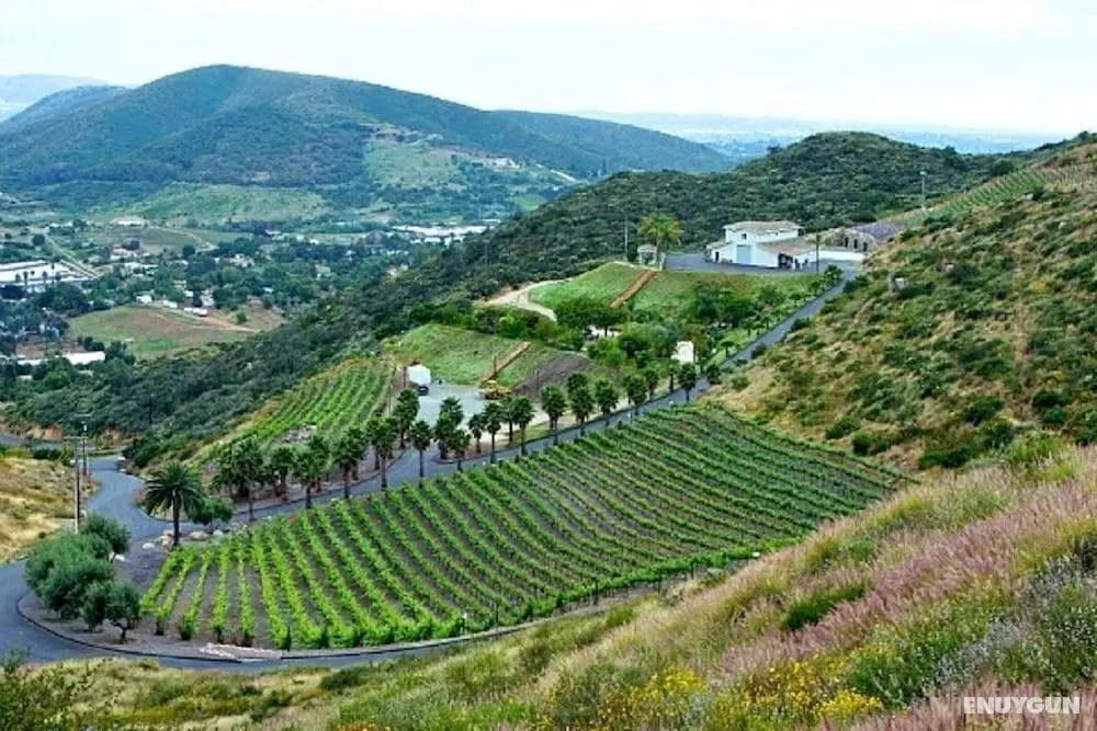 Sunshine Mountain Bed and Breakfast - Öne Çıkan Resim