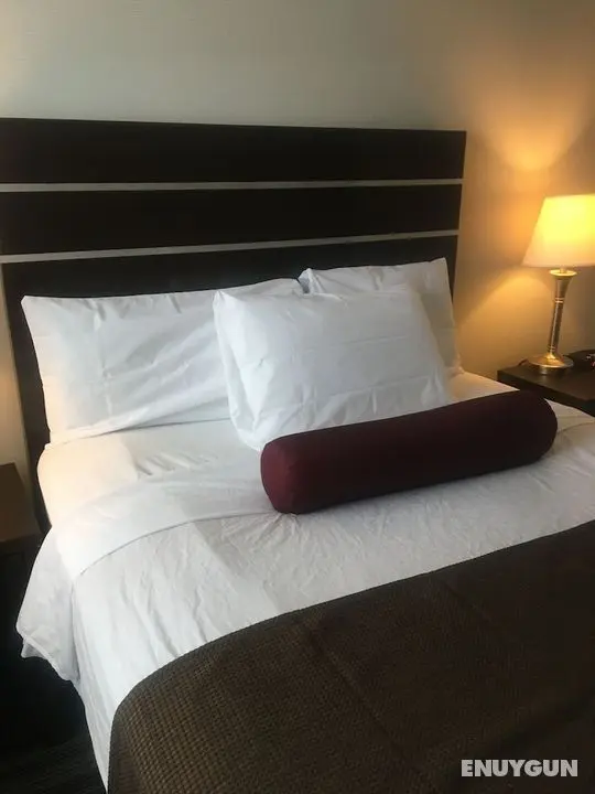 Super 8 by Wyndham Saskatoon Near Downtown - Öne Çıkan Resim