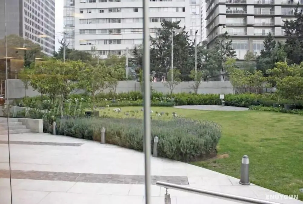 Super Suite Pool & Gym Polanco Area - Öne Çıkan Resim