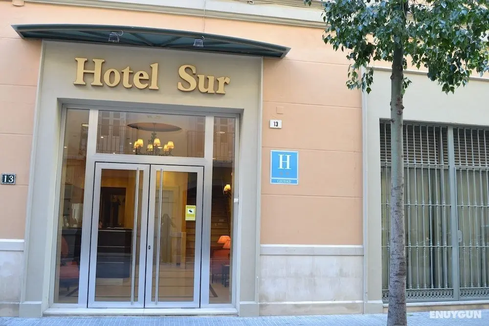 Hotel Sur Málaga - Dış Mekan