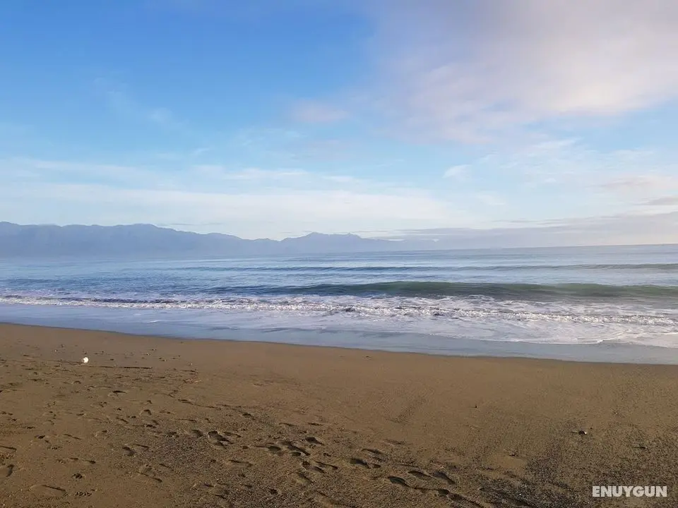 Surf & Chill Inn - İlgi Noktası