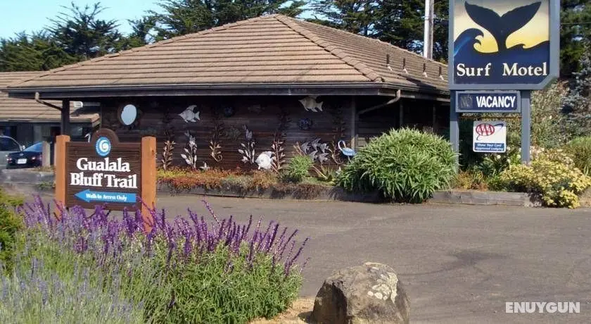 Surf Inn - Genel