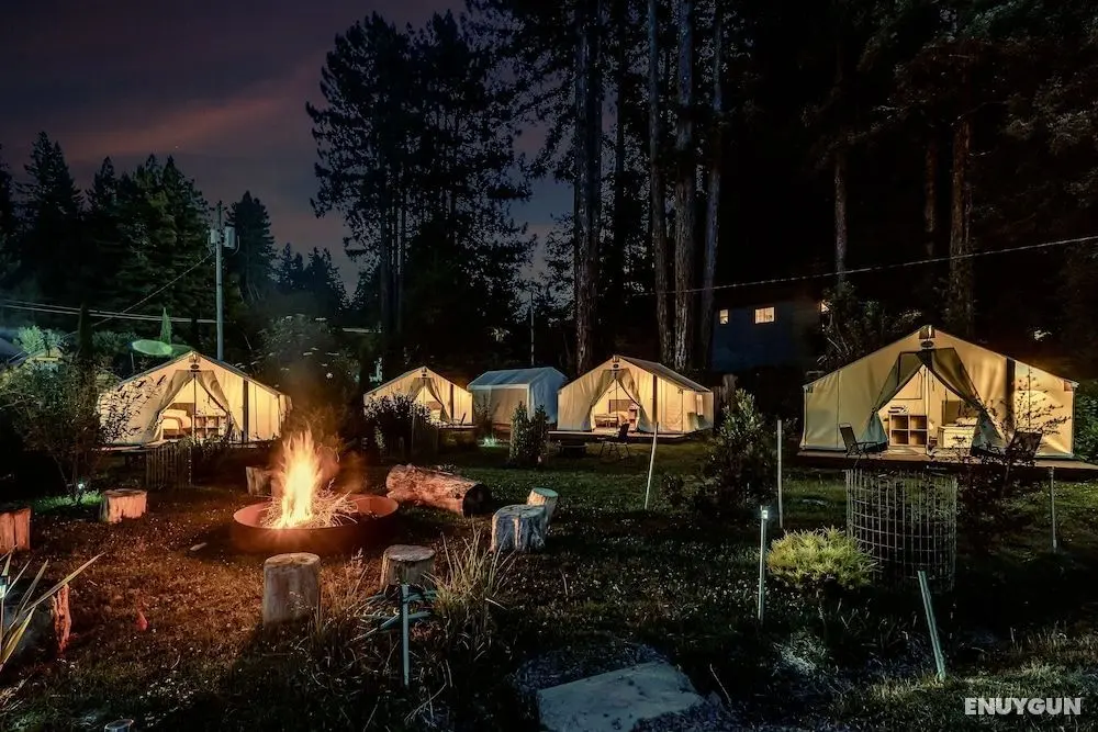 Surrey Resort and Gym - Öne Çıkan Resim
