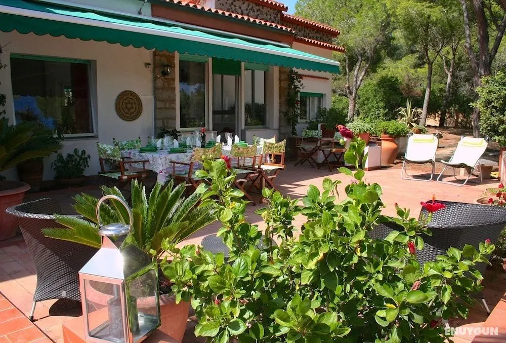 Villa Susy al mare - Öne Çıkan Resim