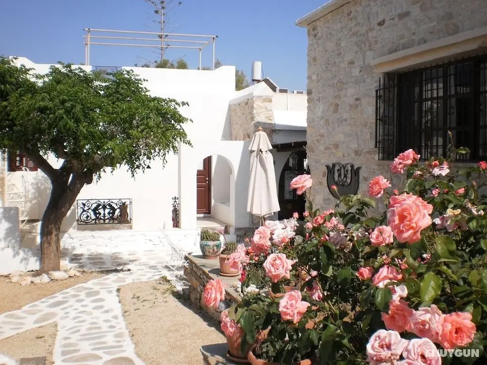 Svoronos Bungalows - Öne Çıkan Resim