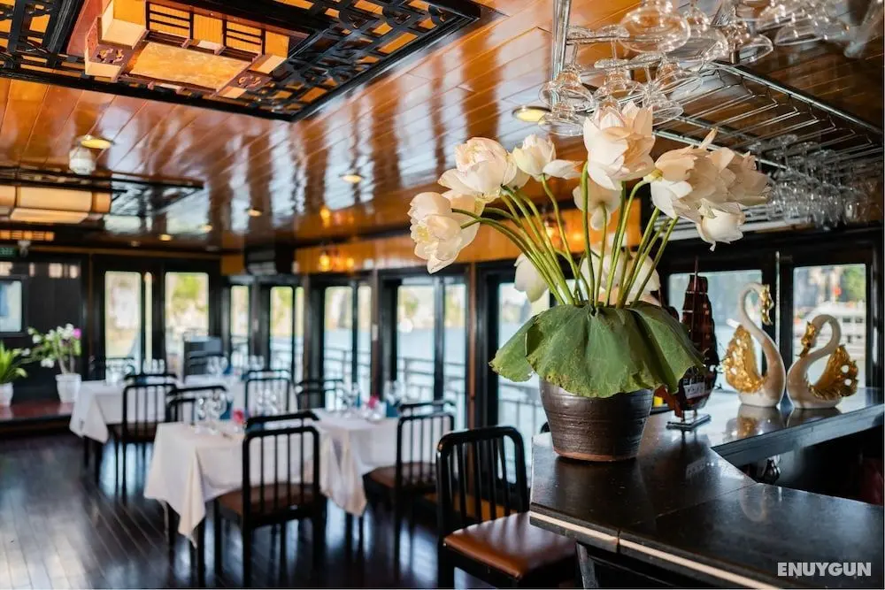 Swan Boutique Cruises - Öne Çıkan Resim