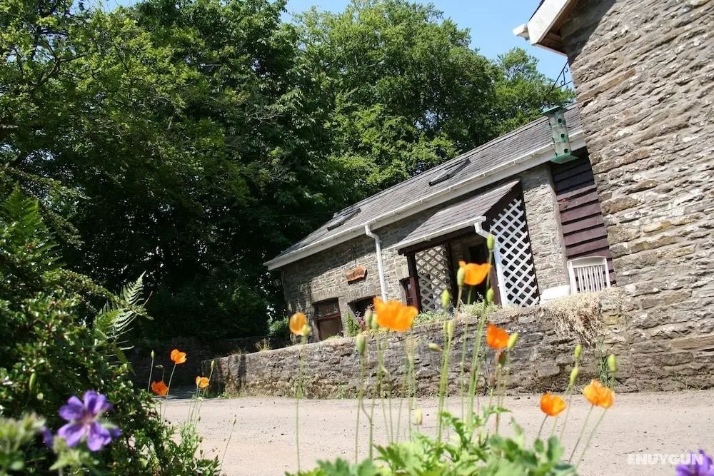 Swansea Valley Holiday Cottages - Dış Mekan
