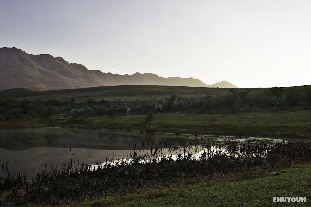 Swartberg Private Game Lodge - Konum Öne Çıkanlar