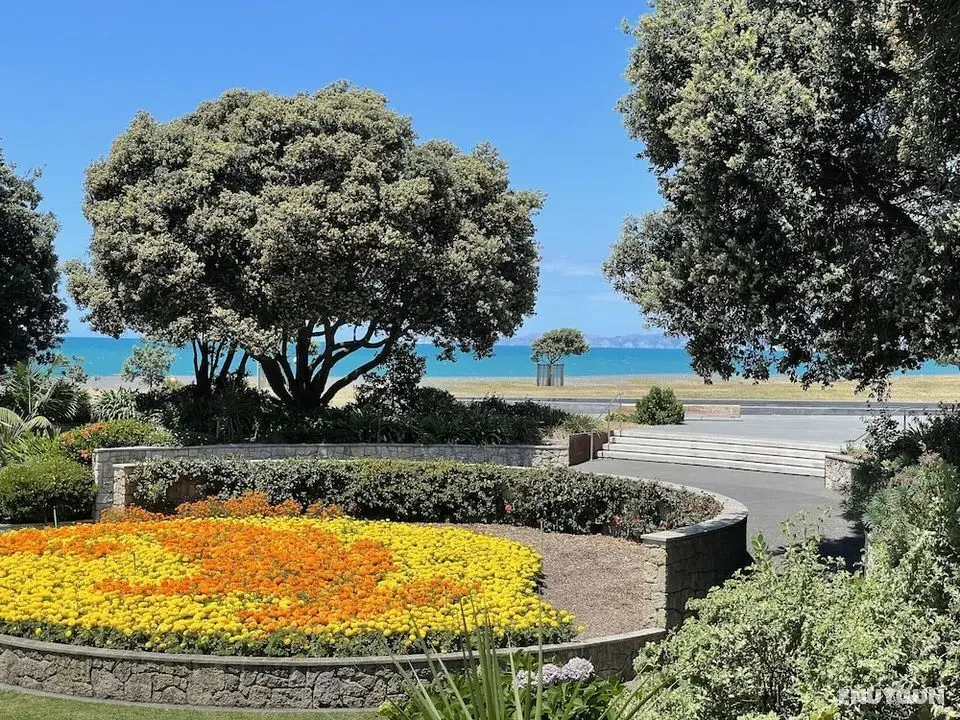 Swiss-Belboutique Napier - Dış Mekan