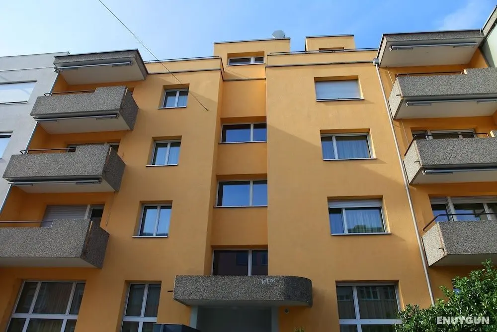 Swiss Star District 11 - Öne Çıkan Resim
