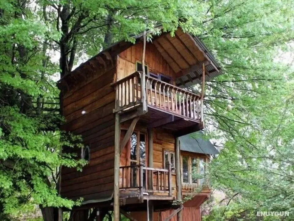 Sycamore Avenue Treehouses - Öne Çıkan Resim