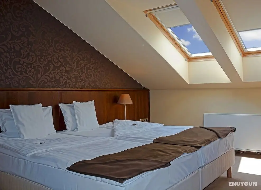 Szépia Bio & Art Hotel - Öne Çıkan Resim