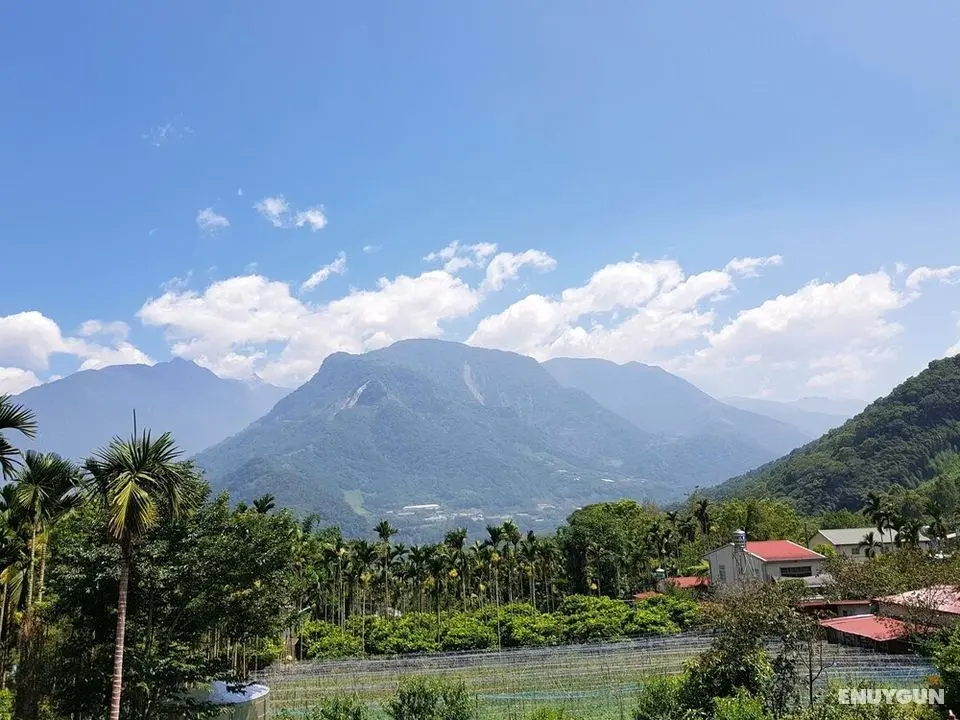 Tabakai Bed and Breakfast - Oda Manzaraları