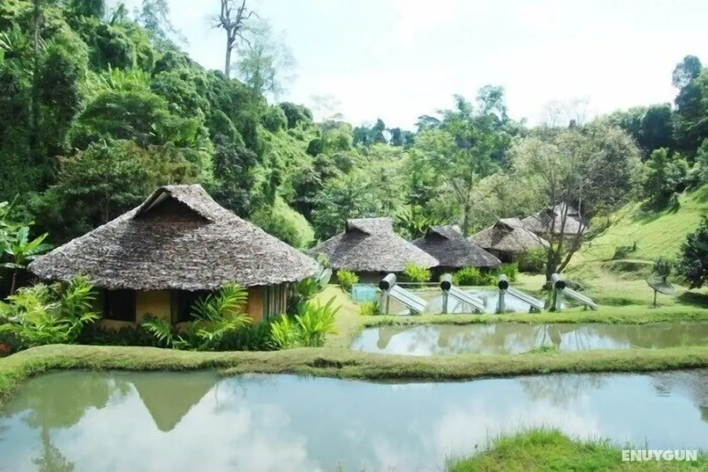 Tadplacamp Organic Farm Stay - Öne Çıkan Resim