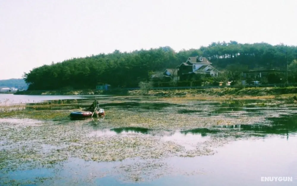 Taean The Nature and Lake Pension - Öne Çıkan Resim