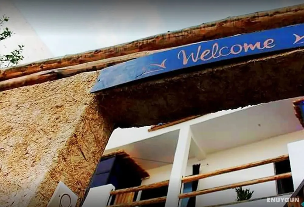 Taghazout Surf Dream - Hostel - Öne Çıkan Resim
