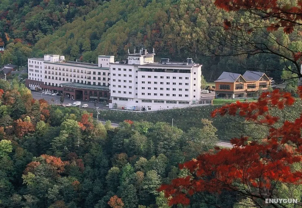 Hotel Taisetsu ONSEN&CANYON RESORT - Dış Mekan